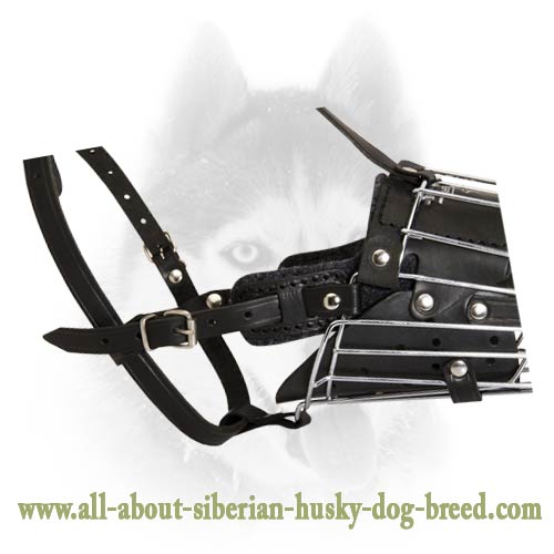 'No Mash' Attack Training Wire Basket Muzzle for Siberian Husky