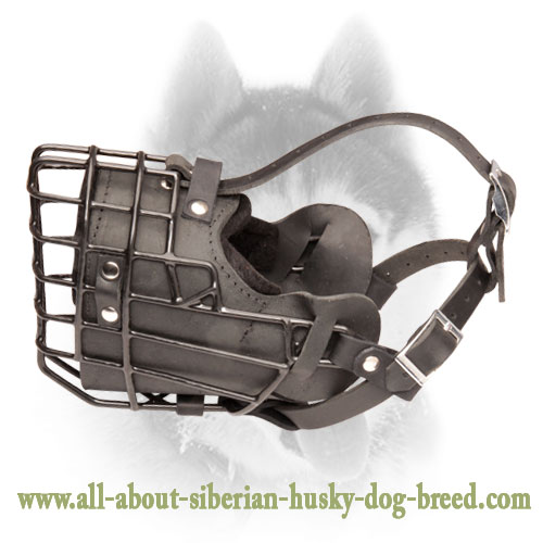 Winter Fully Padded Wire Basket 【Muzzle】 for Siberian Husky Siberian Husky Breed Dog Harness