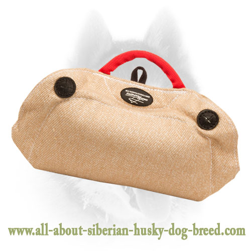 Jute Bite Builder with Three Handles for Training Siberian Husky Puppies