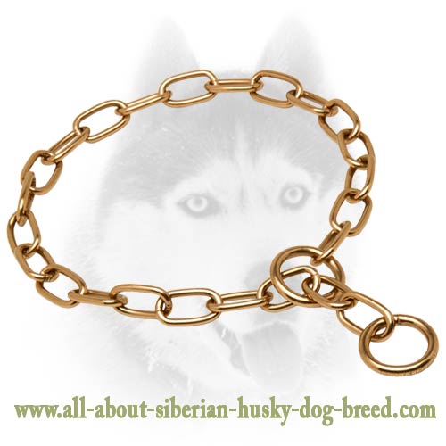Curogan Fur Saver Siberian Husky Collar - 1/9 inch (3 mm)