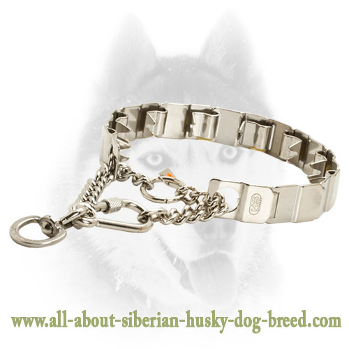 Neck Tech Stainless Steel Dog Pinch Prong Collar for Siberian Husky 19 inch (48 cm) in length