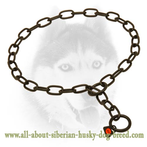 Black Stainless Steel Dog Choke Collar for Siberian Husky - 1/8 inch (3 mm)