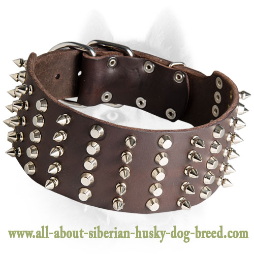 Leather Siberian Husky Collar with Nickel Pyramids and Spikes