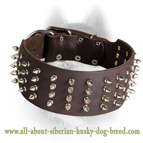 Spiked Leather Siberian Husky Collar 3 Inch Wide