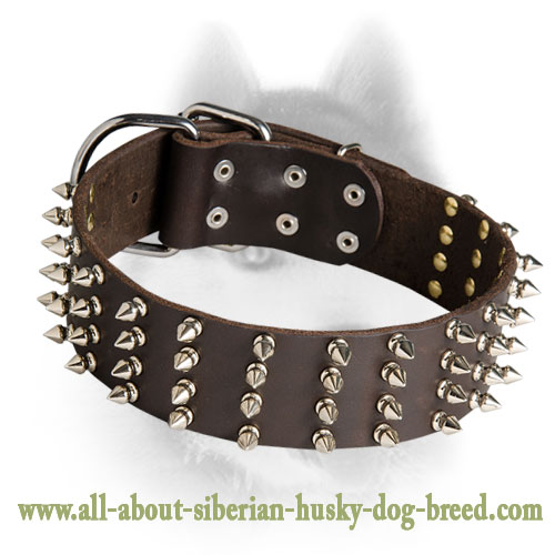 2 Inch Wide Leather Spiked Dog Collar for Siberian Husky