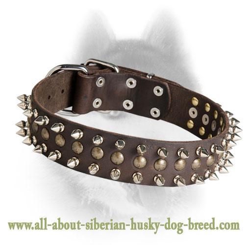 Unbelievable Leather Collar for Siberian Husky
