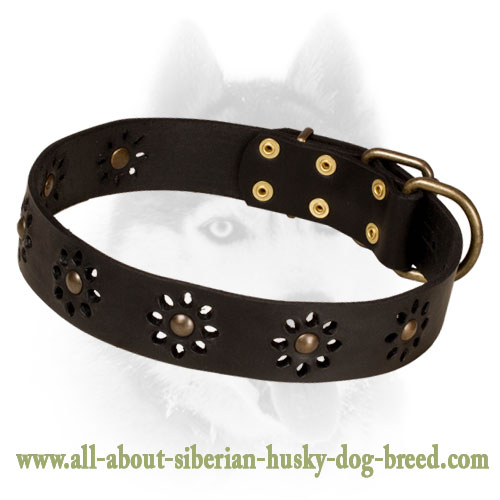 'Spring mood' Leather Dog Collar for Pleasant Walking