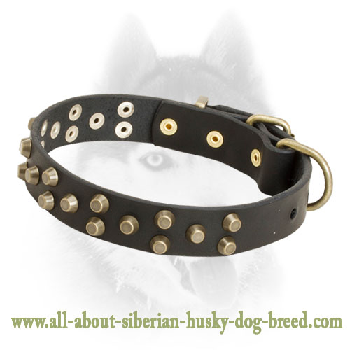 Decorated leather Siberian Husky collar with symmetrical brass pyramids
