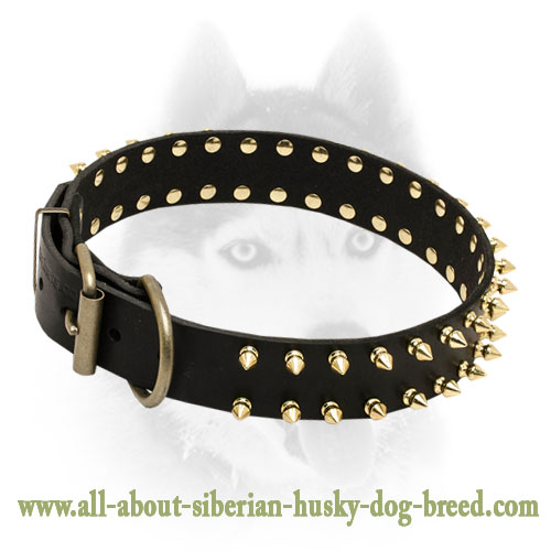 Stylish and elegant leather Siberian Husky collar with spikes