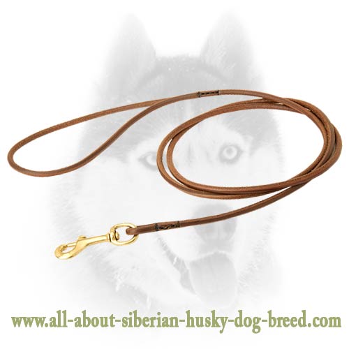 Handcrafted dog shows round leather leash for Siberian Husky