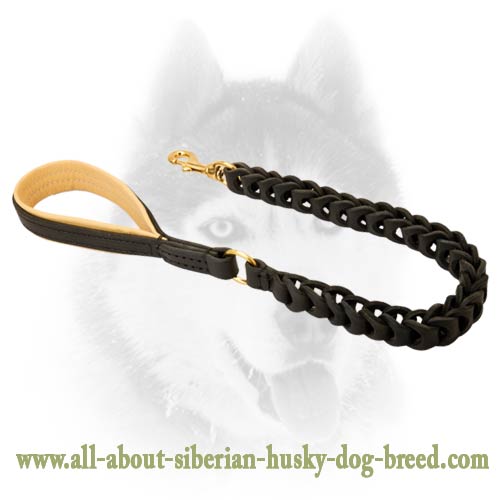 Genuine leather braided leash for Siberian Husky - Click Image to Close