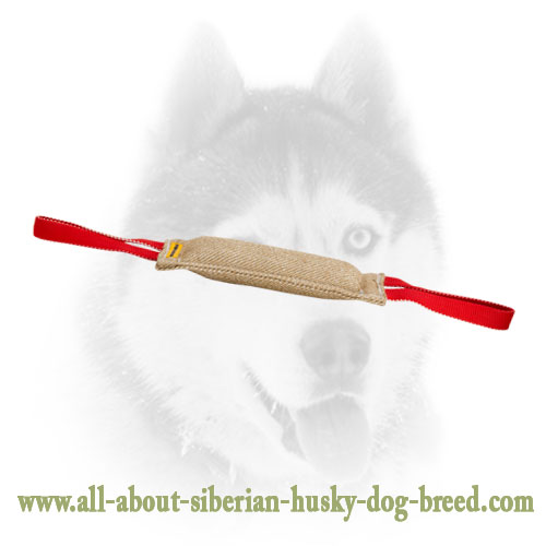 Dog safe jute bite tug for Training Siberian Husky
