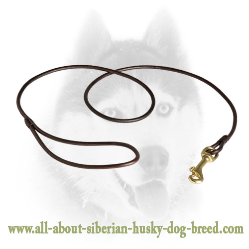Leather Leash for Dog Shows for Siberian Husky