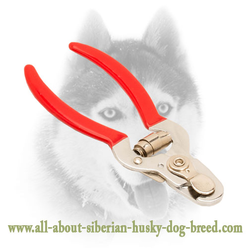 best nail clippers for huskies
