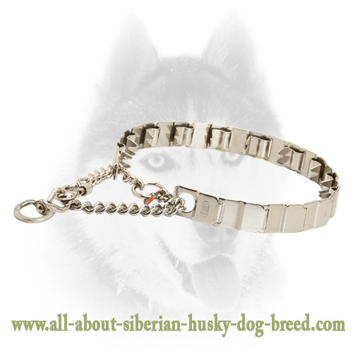 Innovative Neck Tech Siberian Husky Stainless Steel Prong Collar 24 inch (60 cm) in length