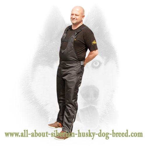 Siberian Husky Pants Siberian Husky Pants