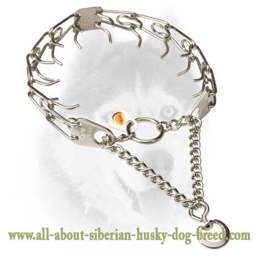 Siberian Husky Stainless Steel Dog Pinch Prong Collar - 1/11 inch (2.25 mm)