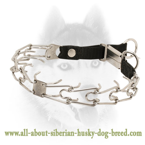 Chrome Plated Steel Pinch Prong Collar with Click Lock Buckle and Nylon Loop - 1/8 inch (3.2 mm)