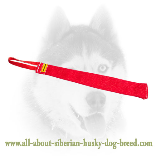 Prey Drive French Linen Training Dog Bite Rag