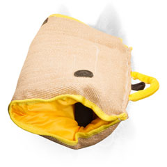 Siberian Husky Basic Jute Bite Sleeve for Puppy Training