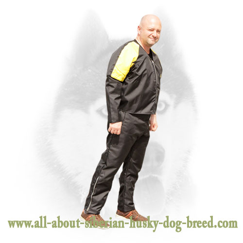 Lightweight Nylon Scratch Suit for Siberian Husky Schutzhund Training