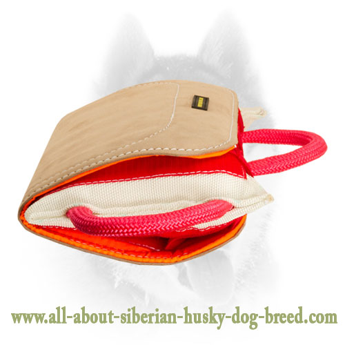 Advanced Siberian Husky training bite pillow with leather covering