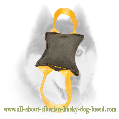 Ultra Leather Dog Tug for Young Dog Training