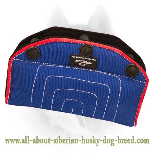 French Linen Bite Builder with Three Handles for Training Siberian Husky Puppies - Click Image to Close