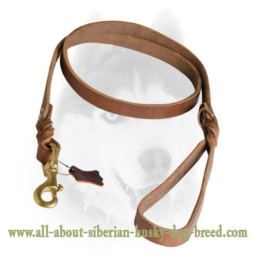 Leather Round Dog Leash 1/4 inch for Siberian Husky