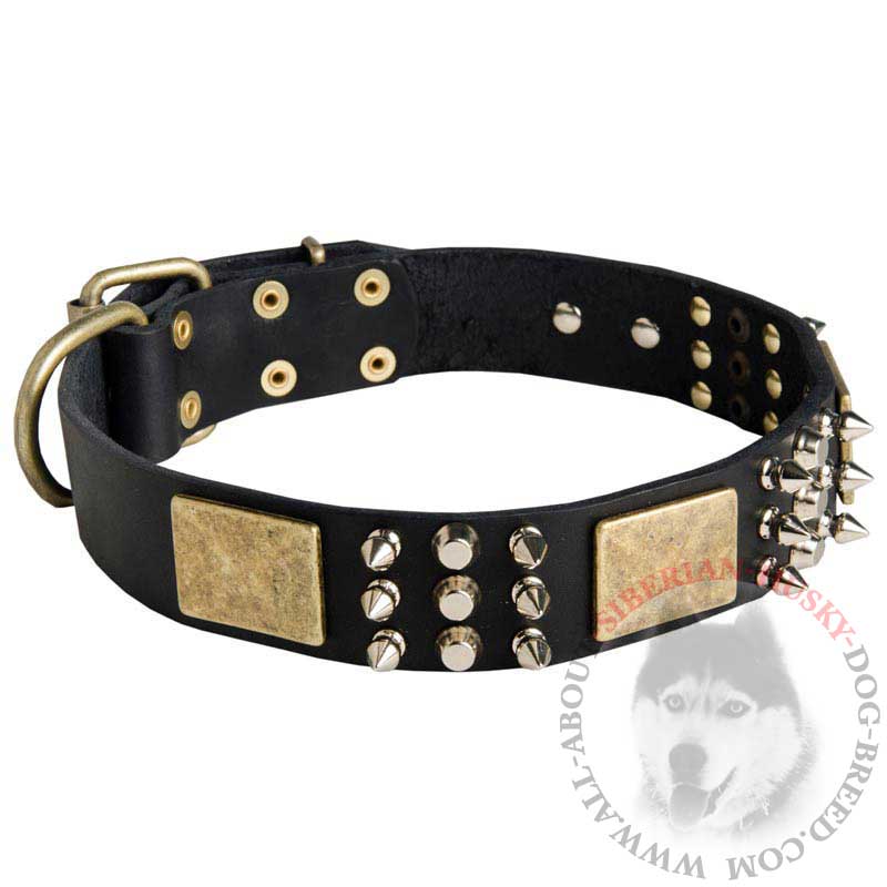 Luxury Leather Spiked and Studded Siberian Husky Collar with Brass Plates
