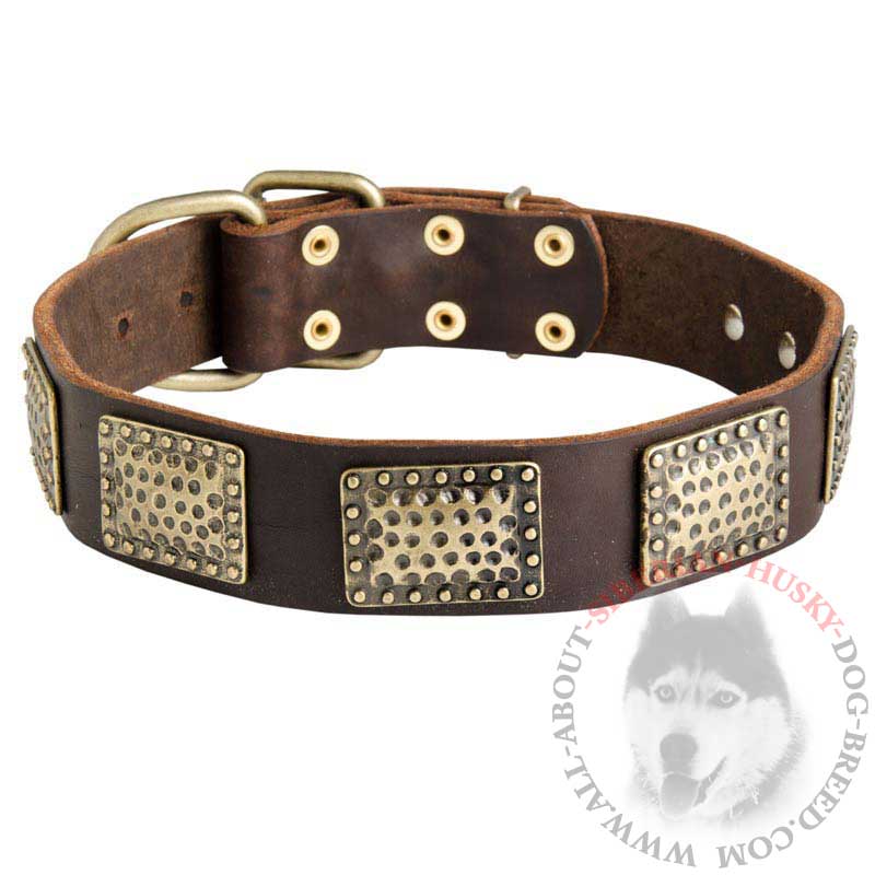 Gorgeous Leather Siberian Husky Collar with Hammered Brass Plates