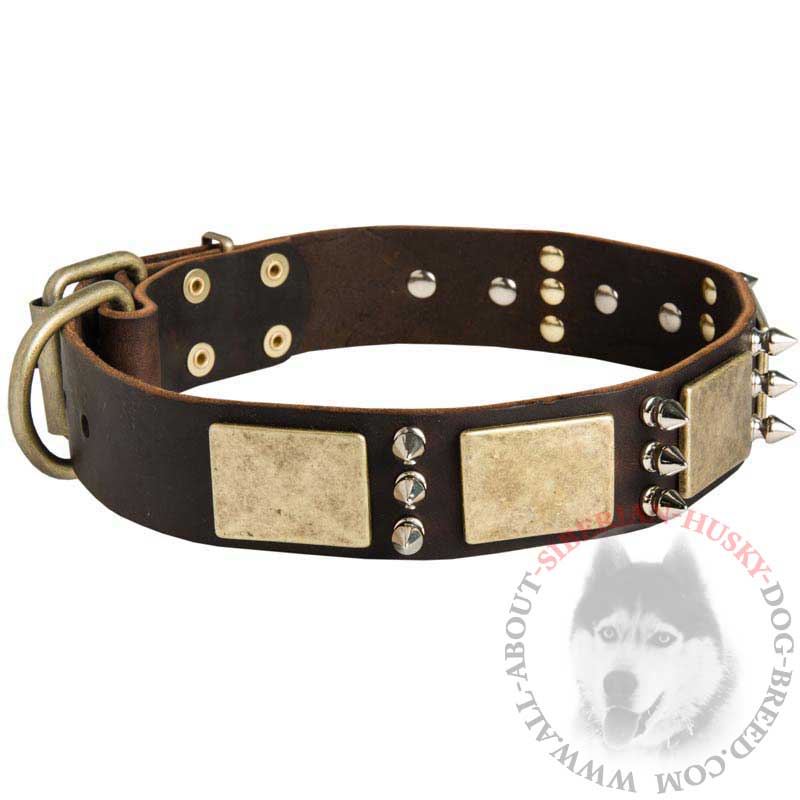 Handmade Leather Siberian Husky Collar with Brass Plates and Nickel Spikes