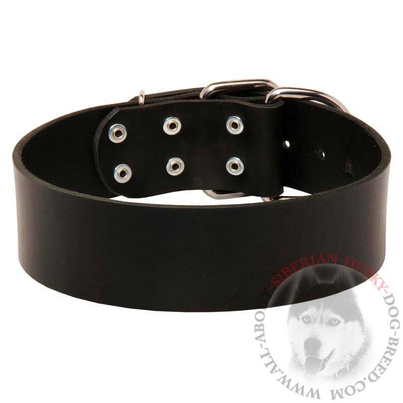 Very Wide Leather Siberian Husky Collar for Everyday Use - Click Image to Close