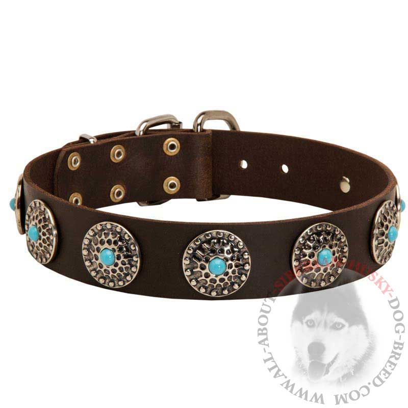 Gorgeous Leather Siberian Husky Collar with Silver Plated Circles and Blue Stones