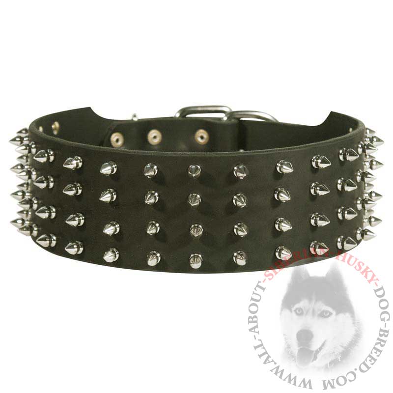 Leather Spiked Siberian Husky Collar for Walking