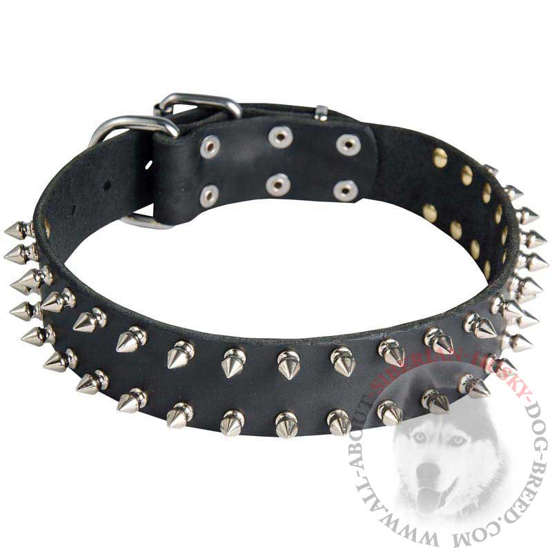 Leather Siberian Husky Collar with 2 Rows of Spikes