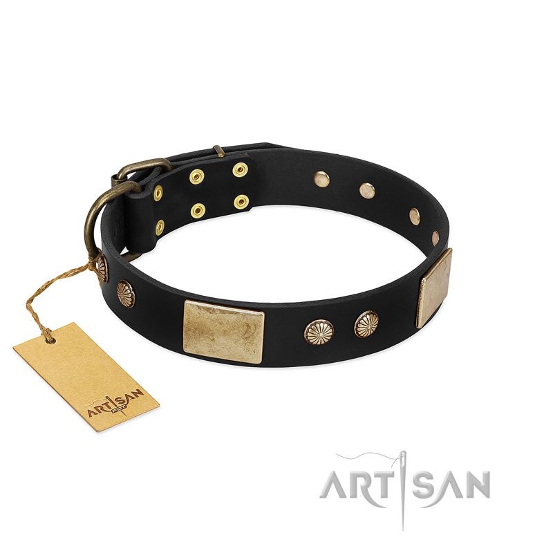 "Antique Gloss" FDT Artisan Black Leather Siberian Husky Collar with Bronze-like Plates and Small Studs