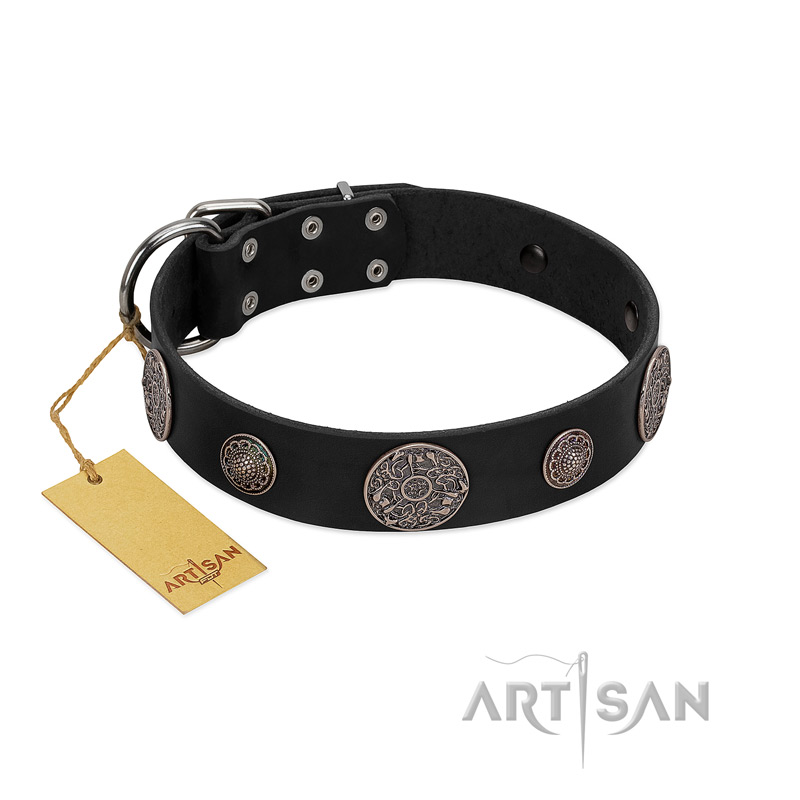 "Ad Infinitum" Durable FDT Artisan Black Leather Siberian Husky Collar with Chrome Plated Brooches