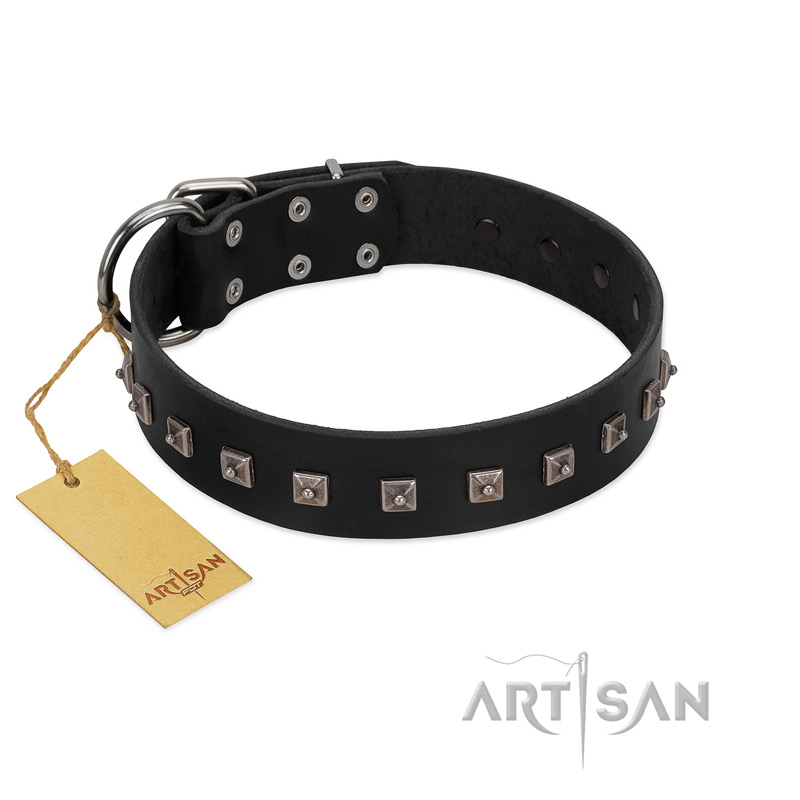 "Natural Beauty" Premium Quality FDT Artisan Black Designer Siberian Husky Collar with Dotted Studs - Click Image to Close