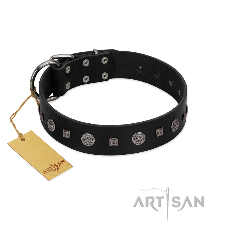 "Mr. Elegance" Designer FDT Artisan Black Leather Siberian Husky Collar with Silver-Like Studs