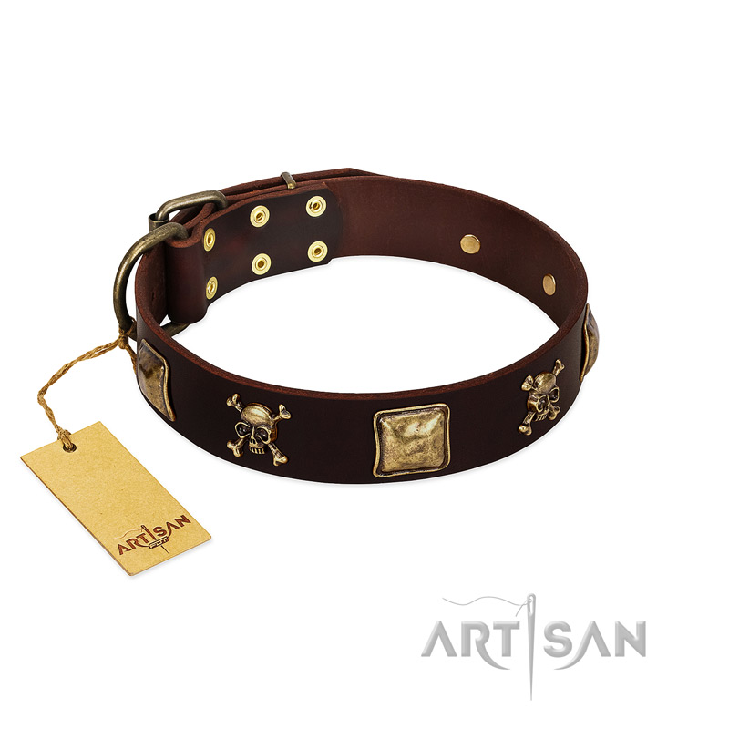 "Crazy Pirate" FDT Artisan Brown Leather Siberian Husky Collar with Old Bronze-Plated Skulls and Plates