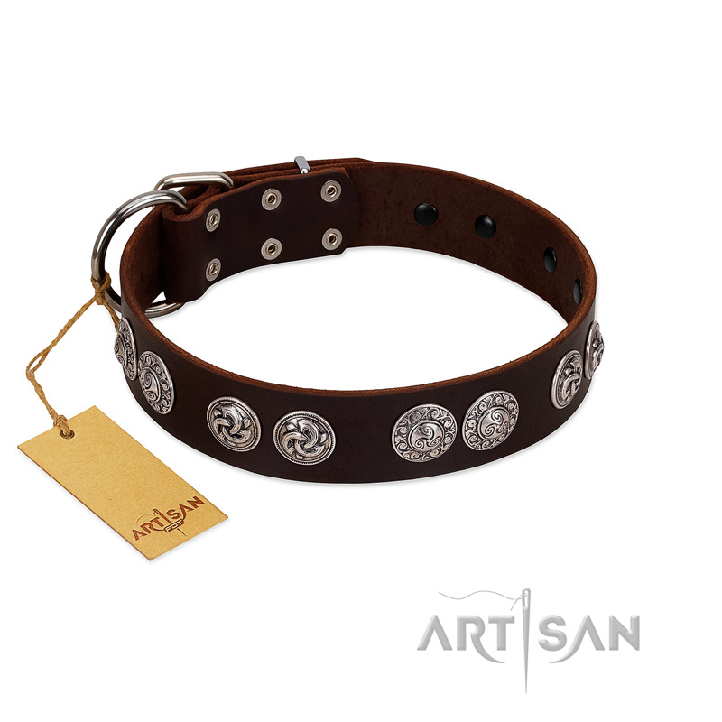 "High and Mighty" FDT Artisan Classy Brown Leather Siberian Husky Collar with Embellished Brooches