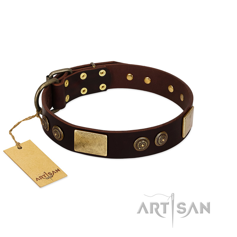 "Bow-Wow Effect" FDT Artisan Brown Leather Siberian Husky Collar with Plates and Ornate Studs