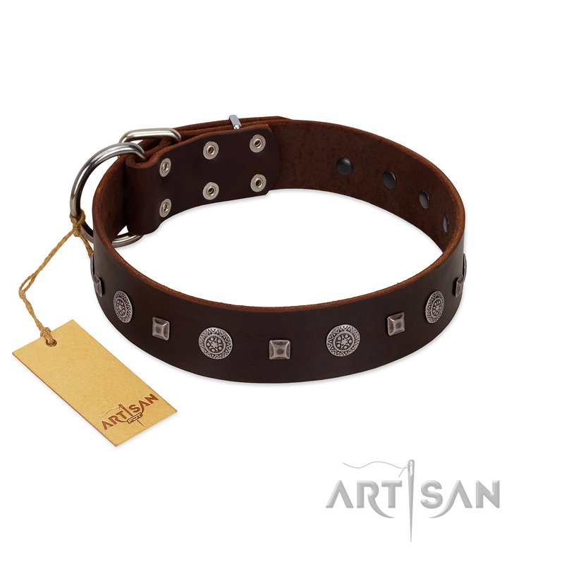 "Pure Sensation" Exclusive FDT Artisan Brown Leather Siberian Husky Collar with Fancy Brooches and Studs