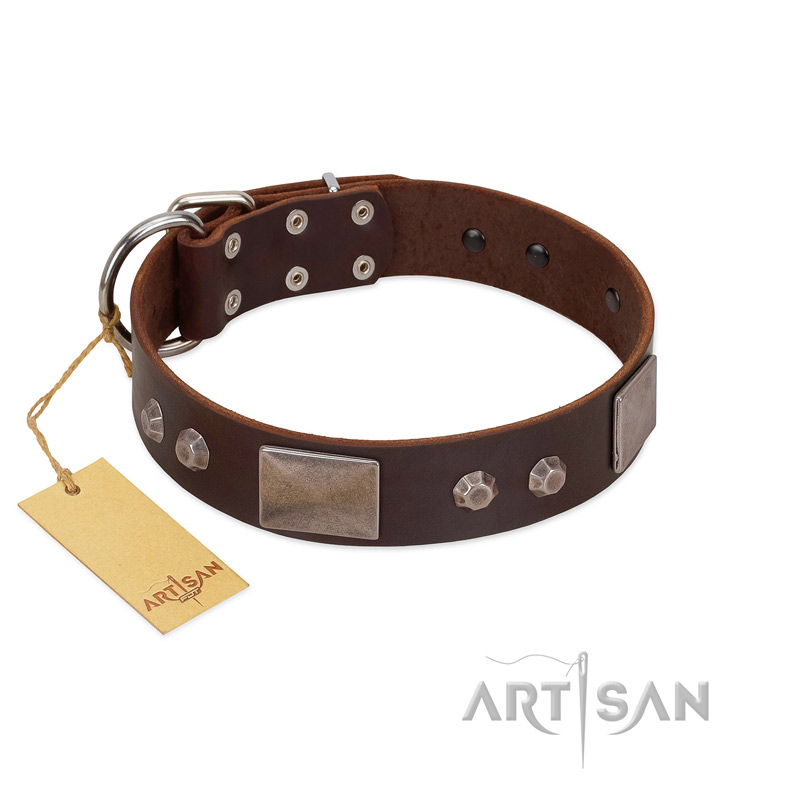 "Stone Stars" Stylish Handmade FDT Artisan Brown Leather Siberian Husky Collar