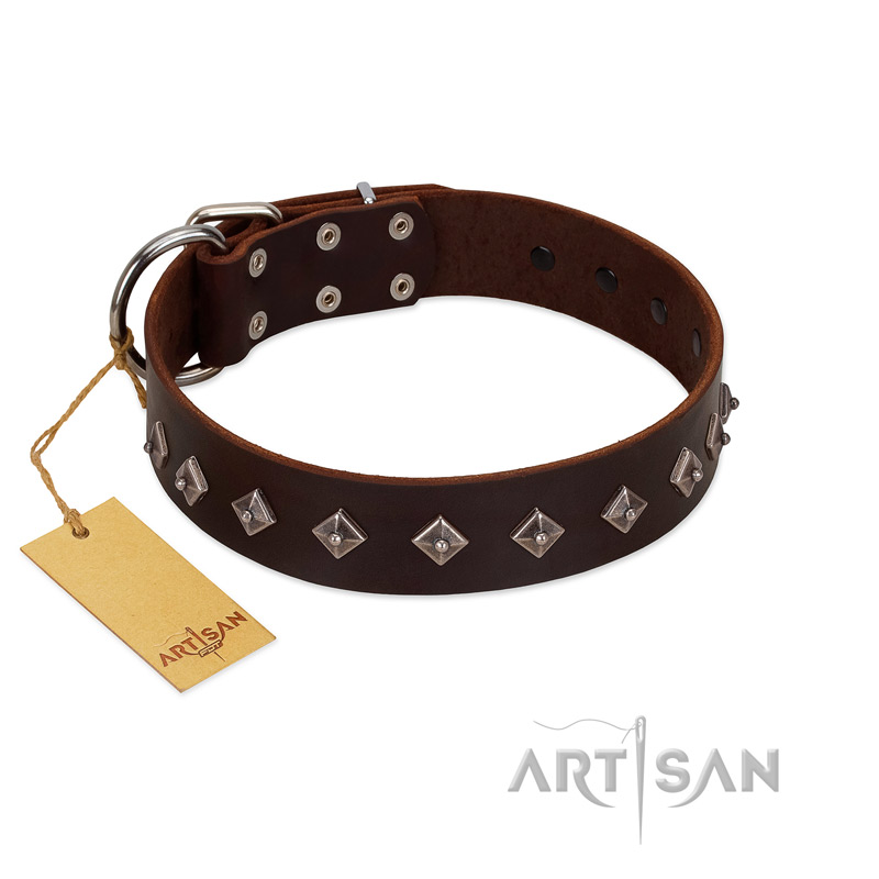 "Boundless Energy" Premium Quality FDT Artisan Brown Designer Leather Siberian Husky Collar with Small Pyramids