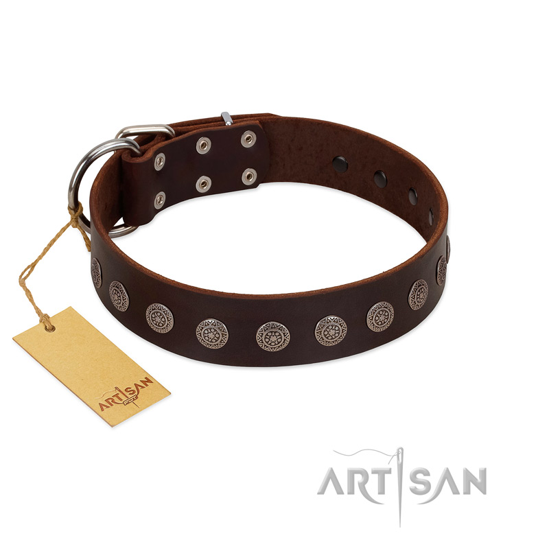 "Starry-Eyed" Best Quality FDT Artisan Brown Designer Leather Siberian Husky Collar with Small Plates