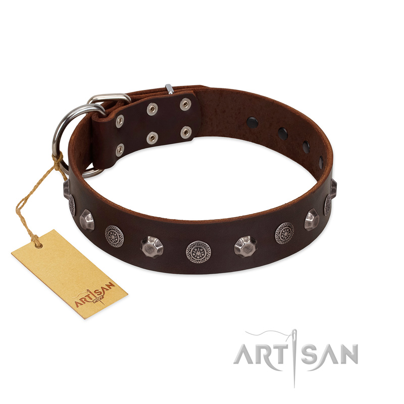 "Dark Chocolate" Handmade FDT Artisan Brown Leather Siberian Husky Collar with Studs