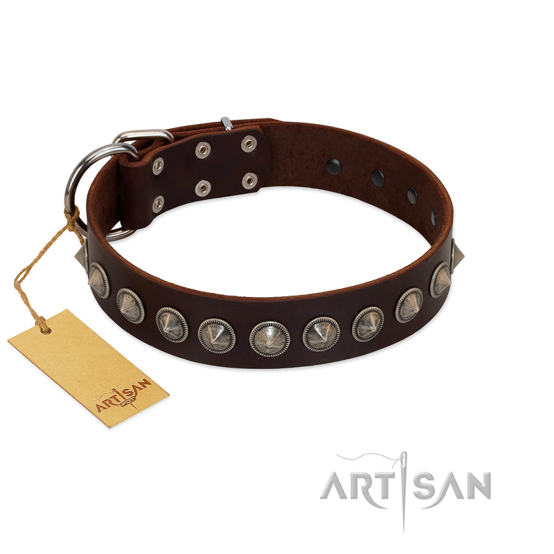 "Gothic Style" FDT Artisan Fancy Brown Leather Siberian Husky Collar with Silver-Like Decorations