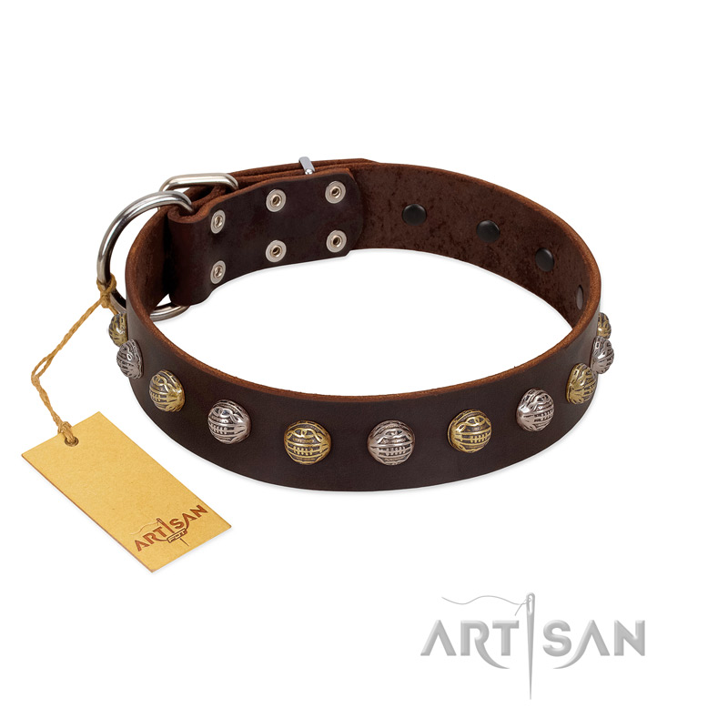 "Gape Buster" FDT Artisan Brown Leather Siberian Husky Collar with One Row of Studs